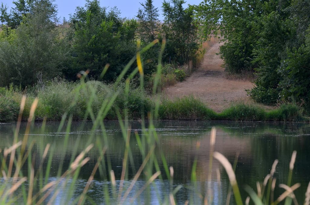 Lake in the Hills Fen Conservation Area