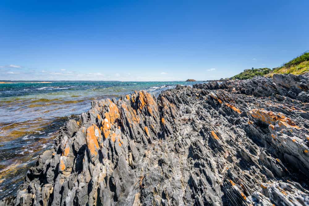 Rocky Cape National Park
