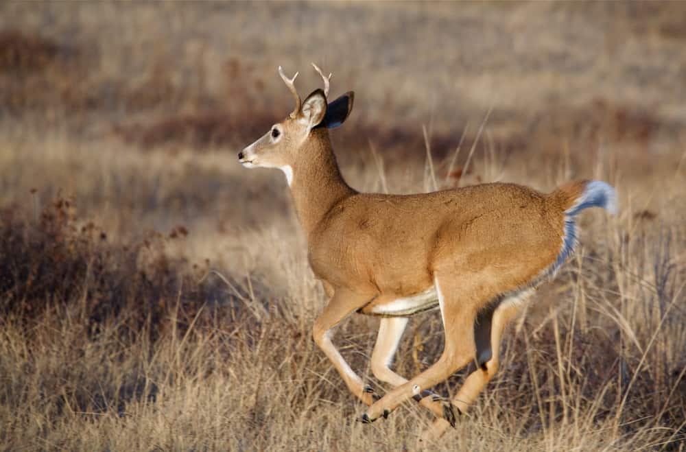 Sand Ridge Nature Center