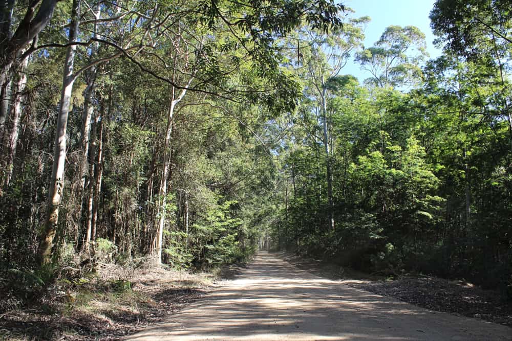Watagans National Park