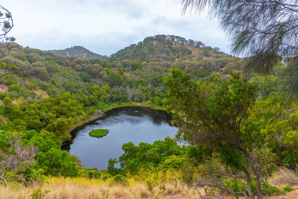 Tower Hill Wildlife Reserve