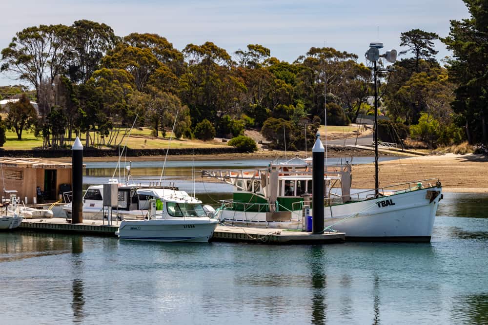 Inglis River and Gutteridge Gardens