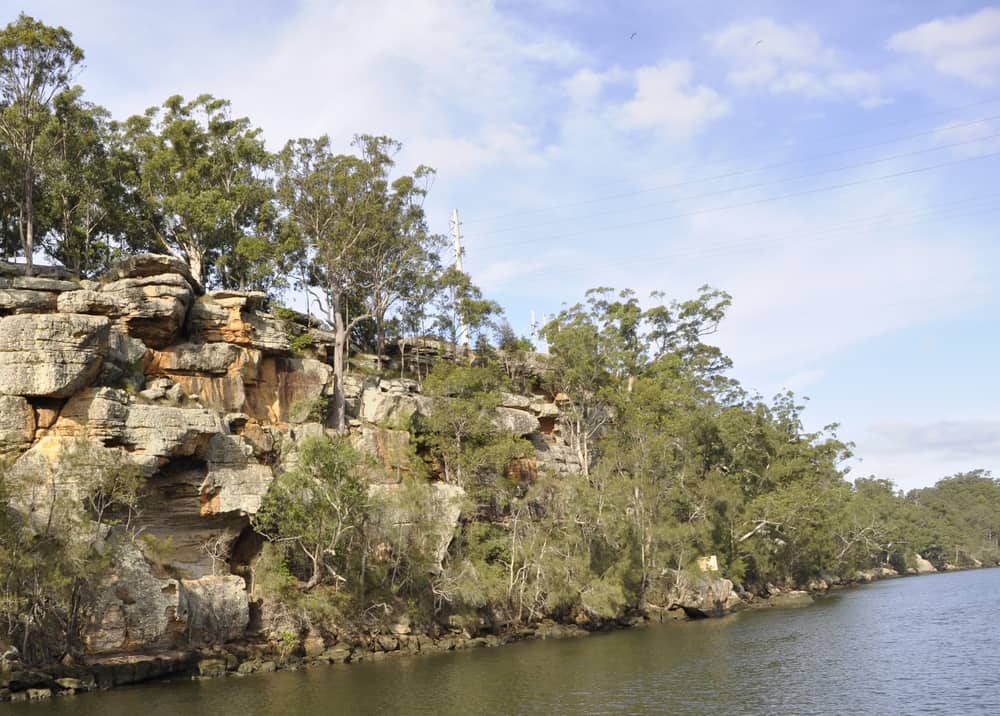 Scenery Along The Shoalhaven River