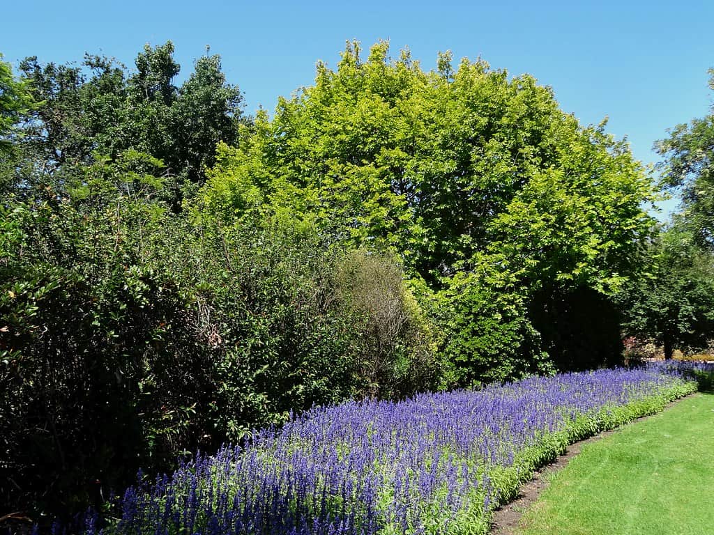 Horsham Botanical Gardens