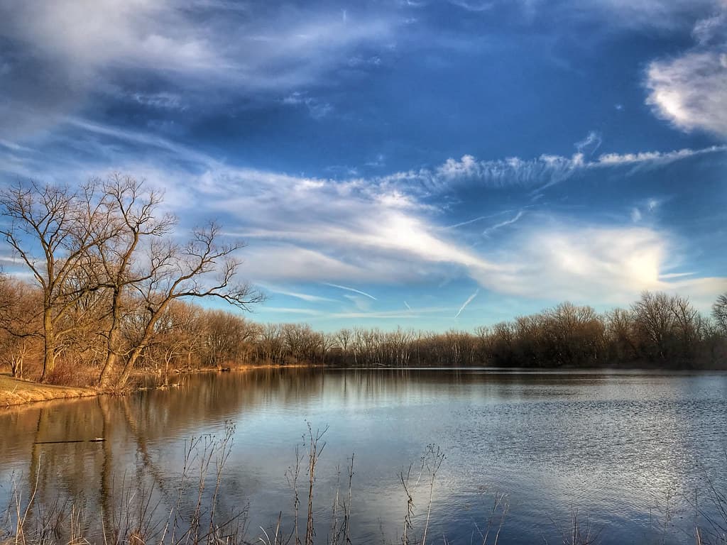 Beaubien Woods