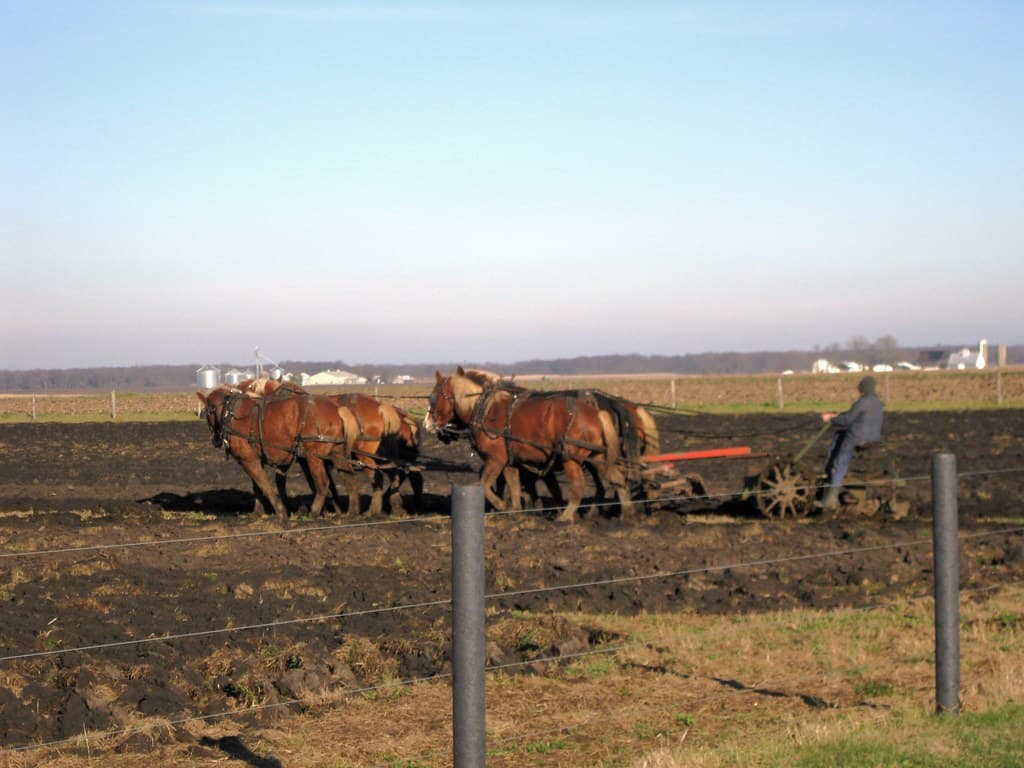 Arthur, Illinois