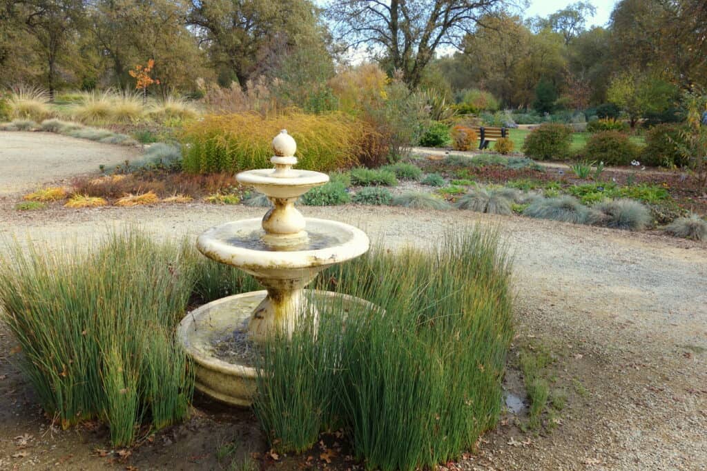 McConnell Arboretum & Botanical Gardens