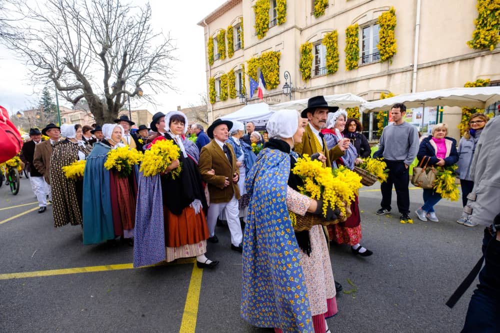 Mimosa Festival