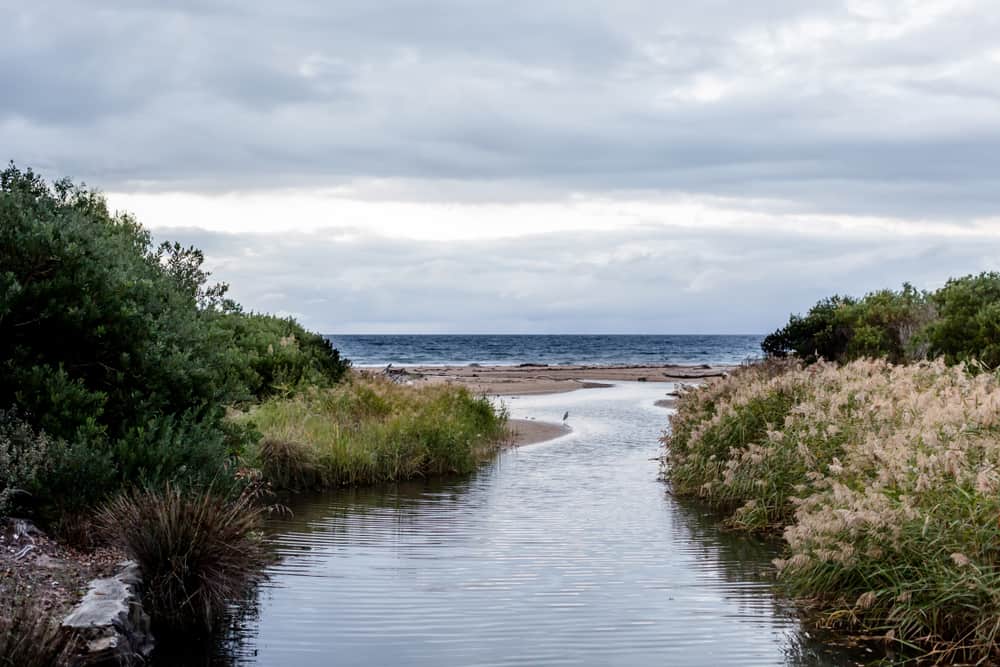 Buttons Beach