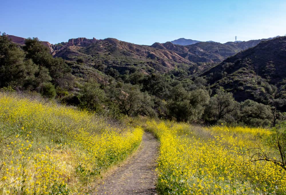 Whiting Ranch Wilderness Park