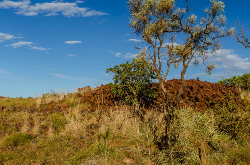 Yaburara Heritage Trail