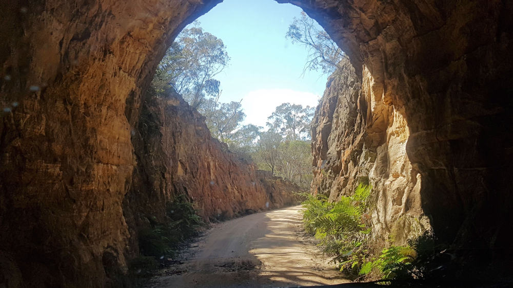 Glow Worm Tunnel