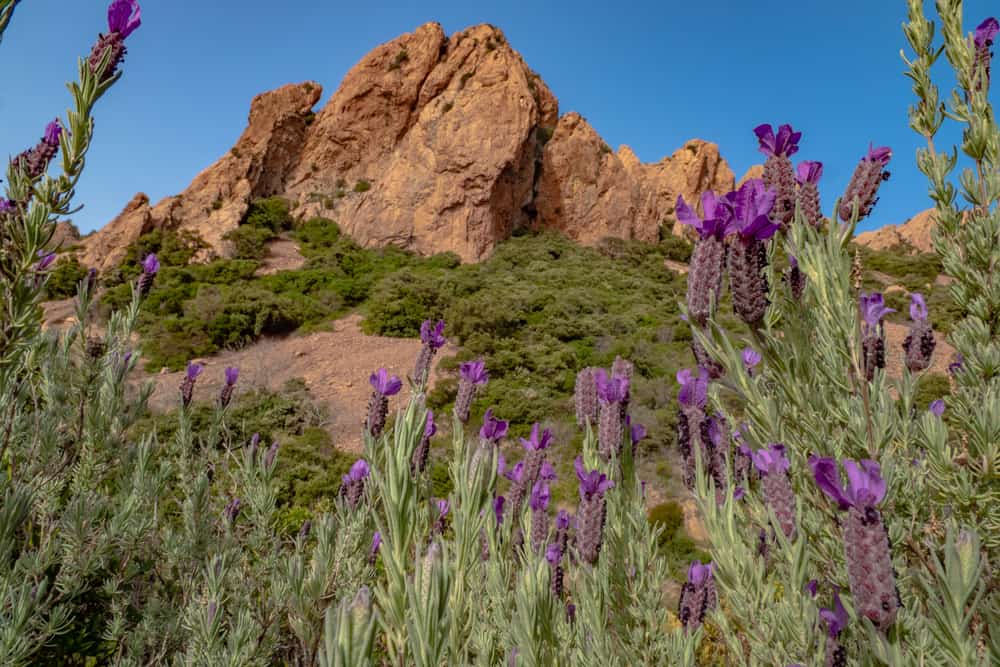 Massif de l'Esterel