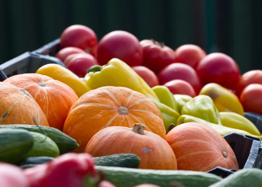 Garden Patch Farms and Orchard