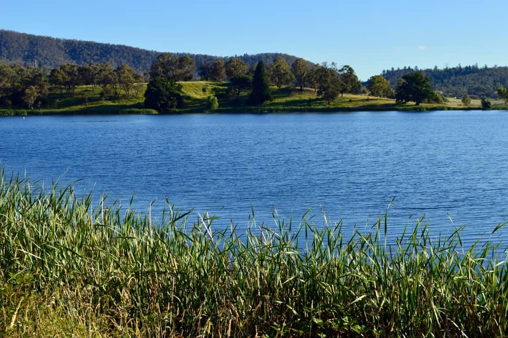 Lake Wallace