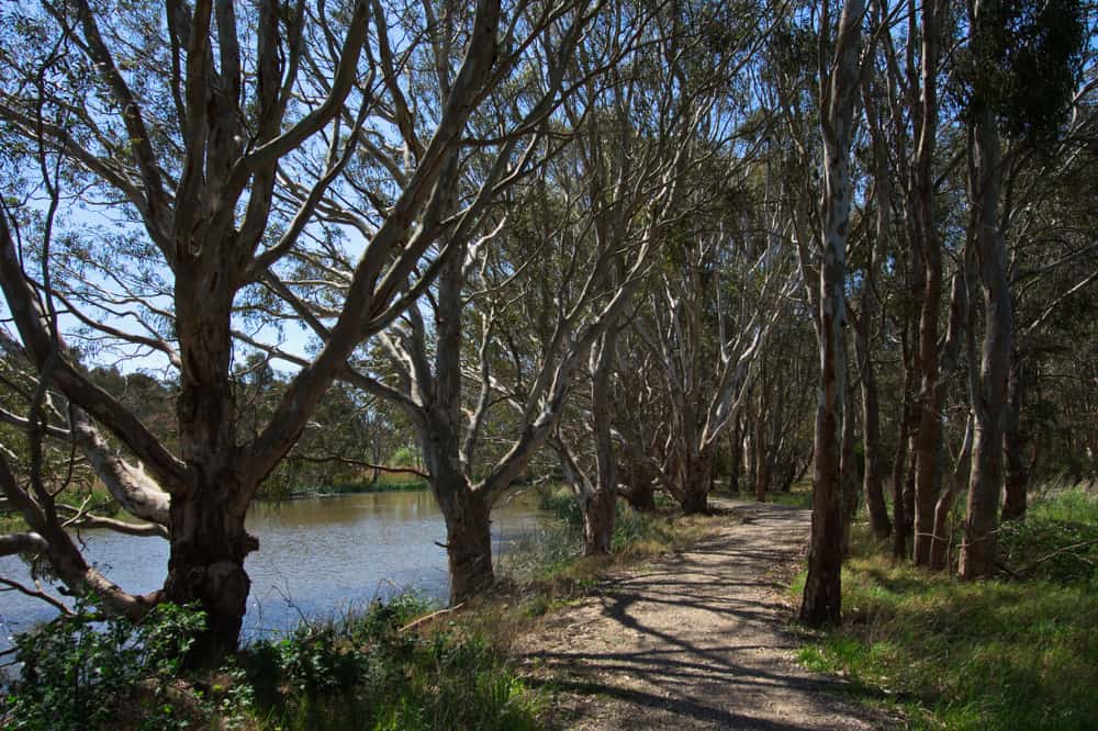 Sale Common Nature Conservation Reserve