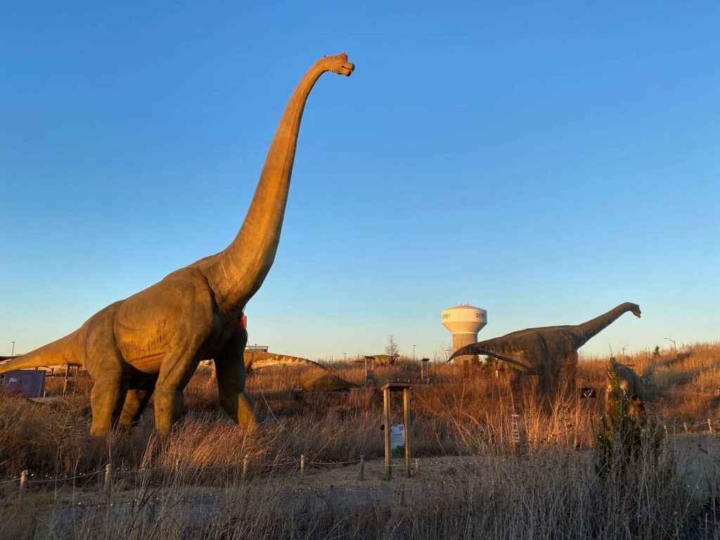 Estación de campo de dinosaurios