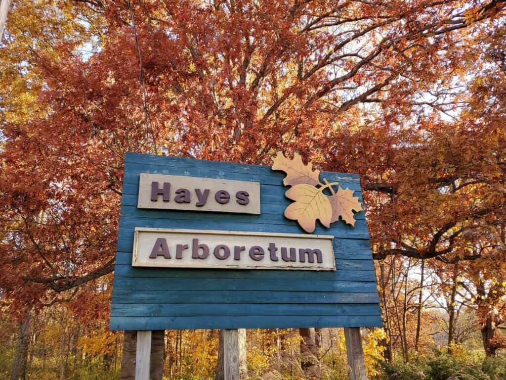 Hayes Arboretum
