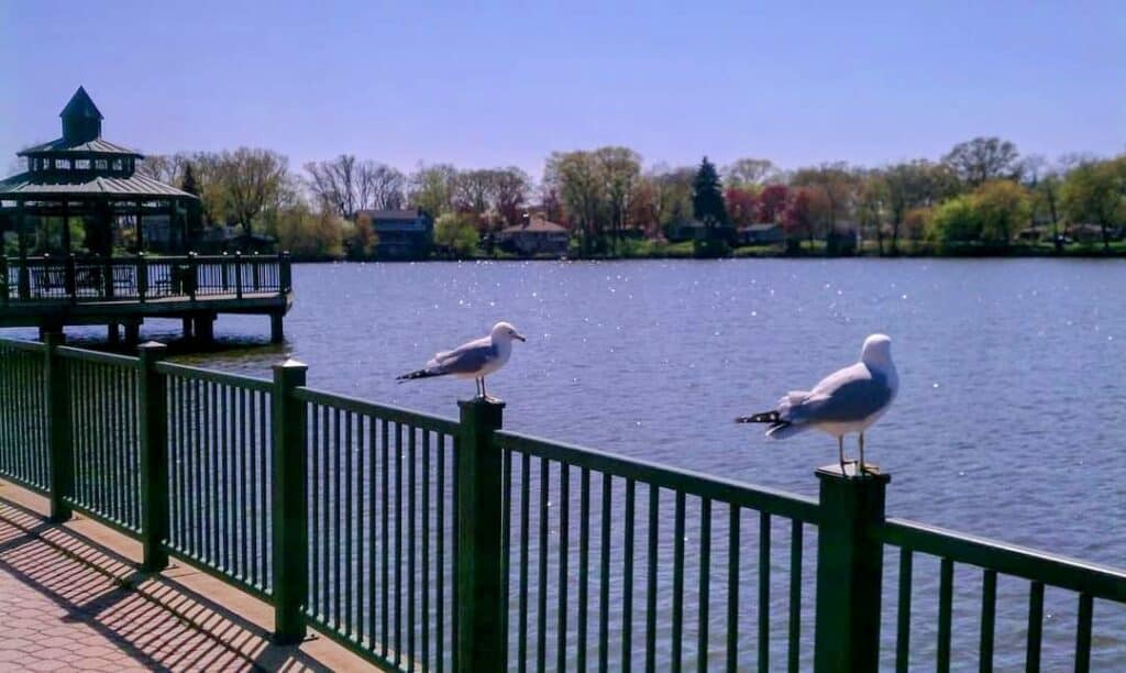 Lakefront Park