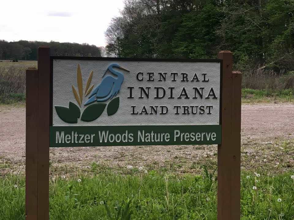 Meltzer Woods