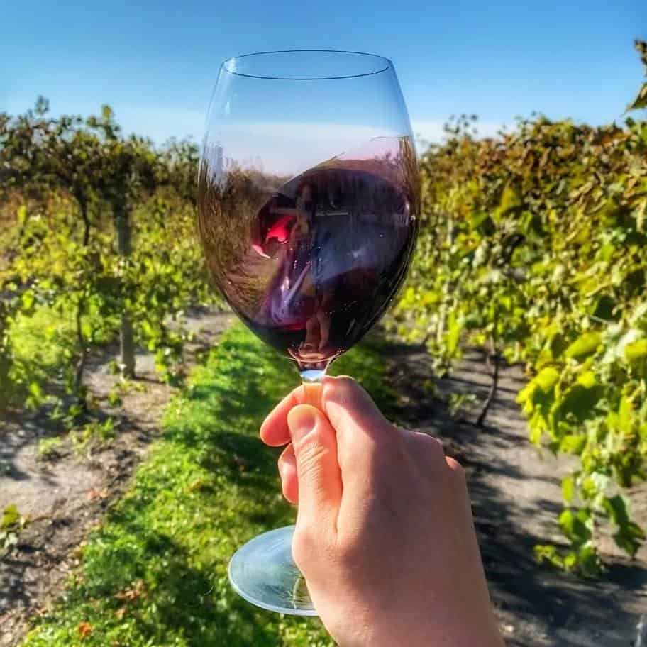 Soldier Creek Winery