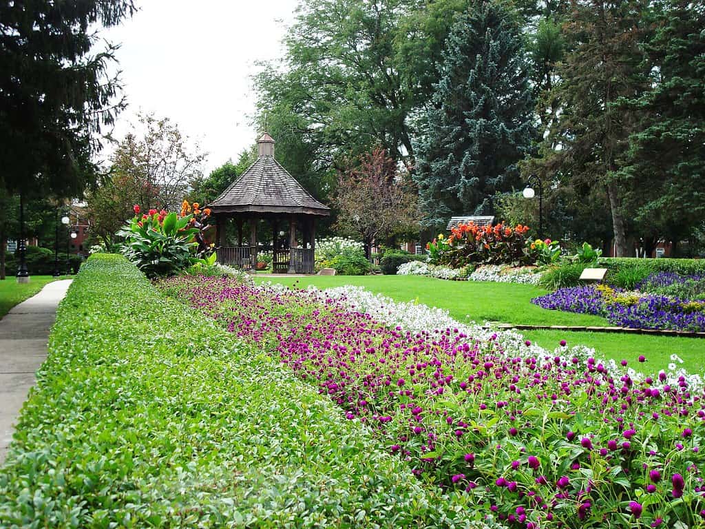 Buxton Park Arboretum