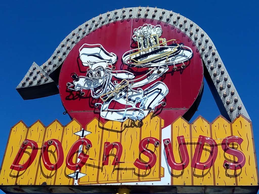 Dog n Suds Drive-In