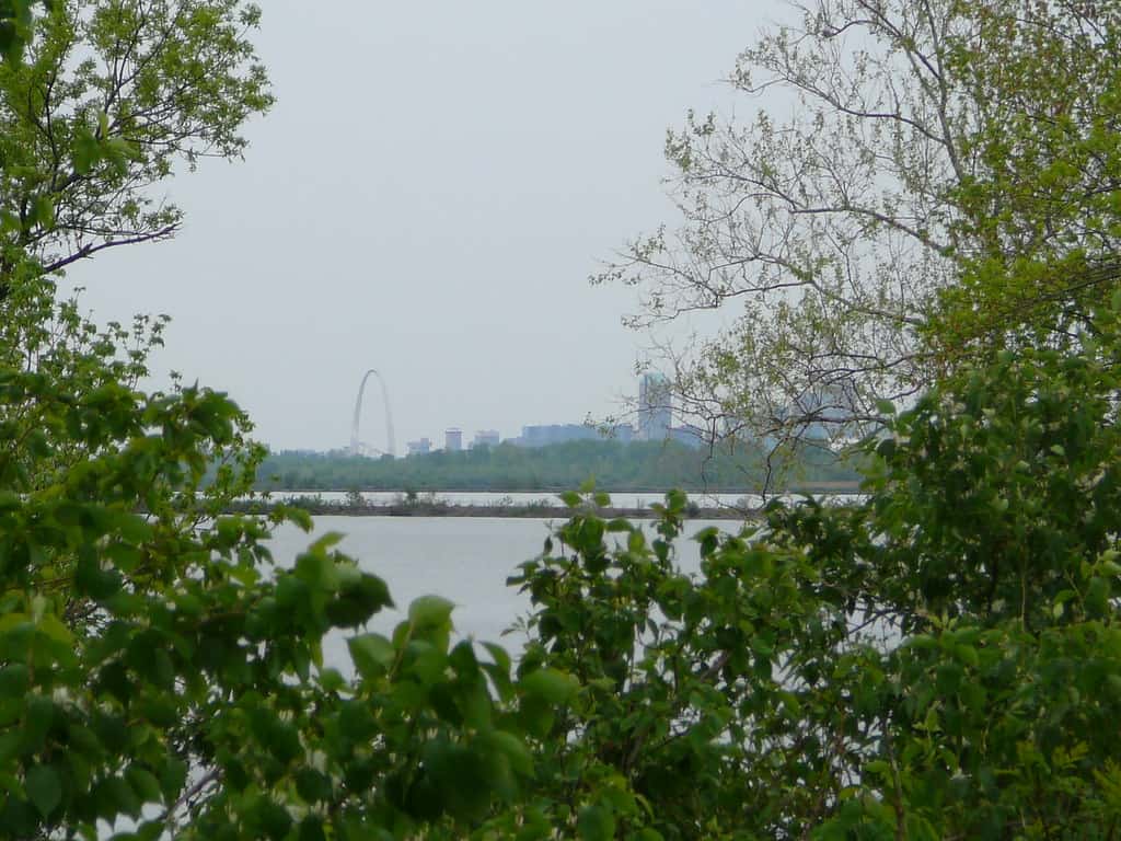 View from the MCT Schoolhouse Trail
