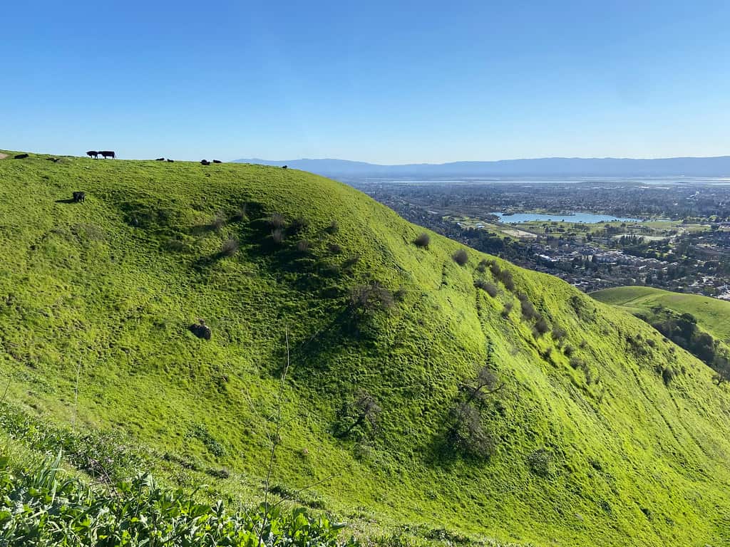 Vargas Plateau Regional Park