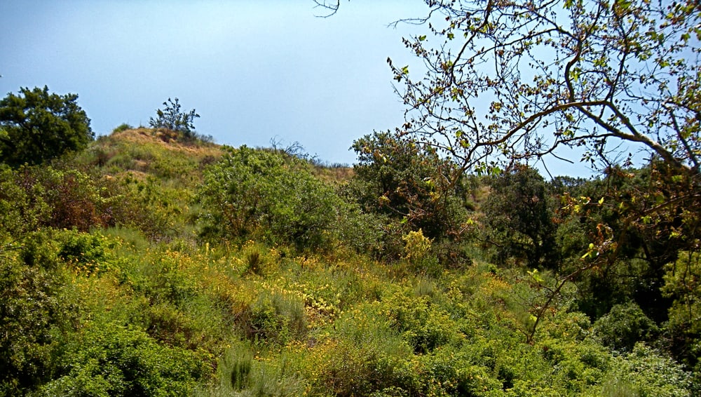 Oak Canyon Nature Center