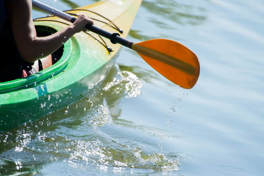 kayak