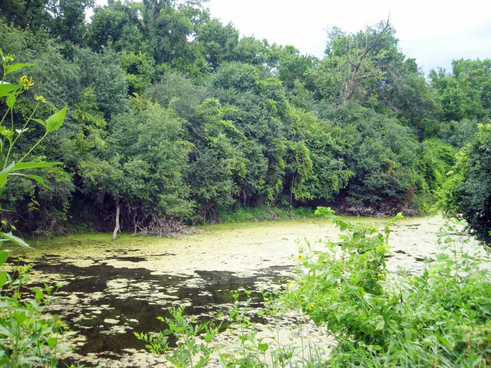 Beulah Park