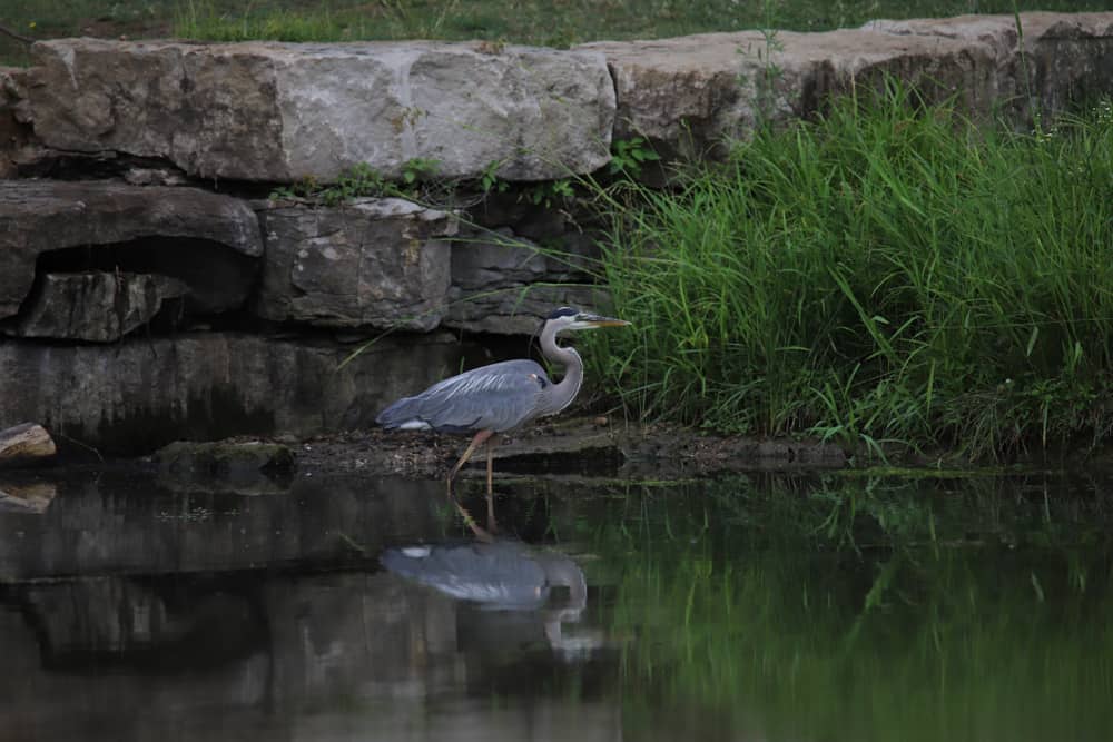 Lawrence Rotary Arboretum