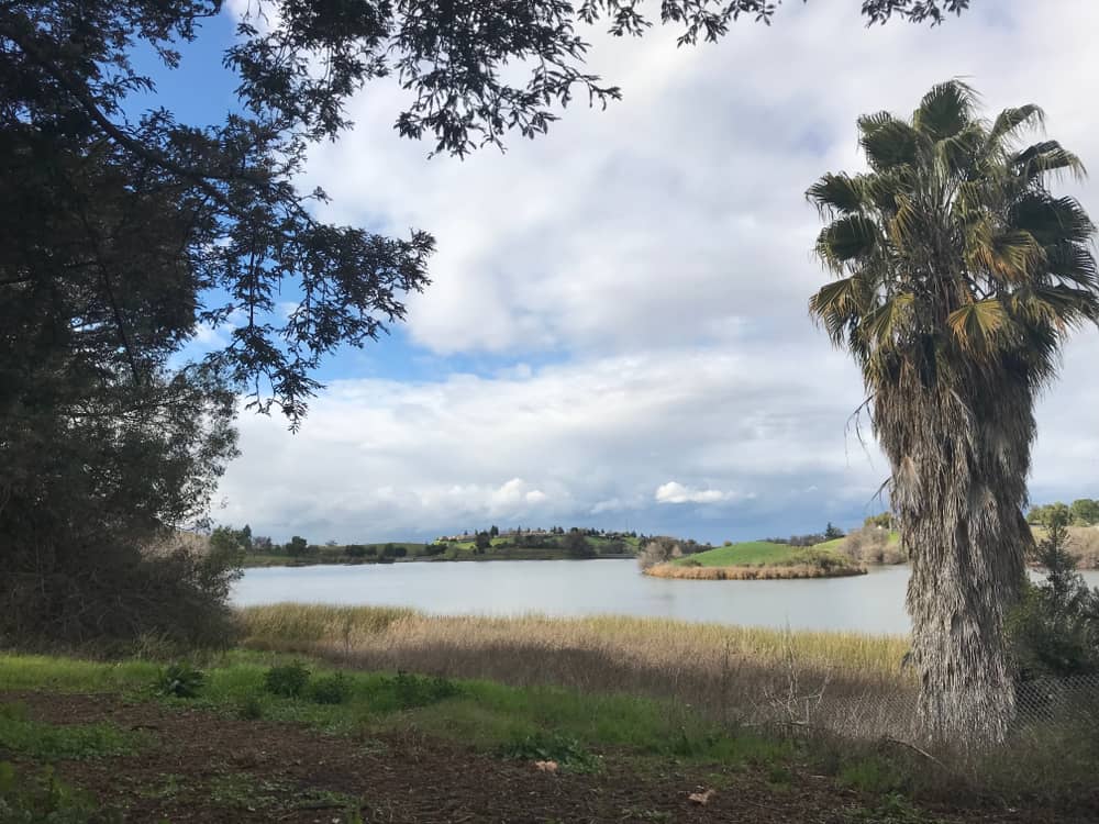 Contra Loma Regional Park