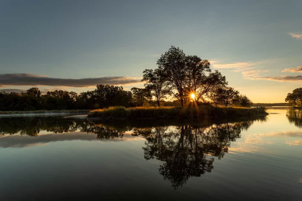 Ned Brown Forest Preserve, Rolling Meadows