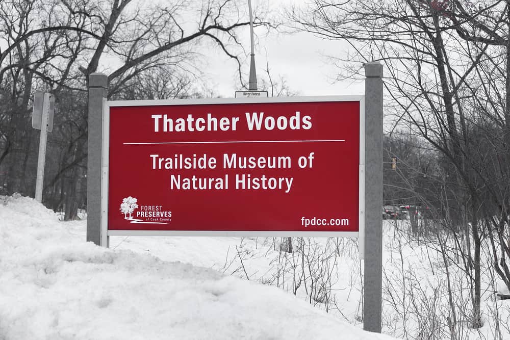 Thatcher Woods