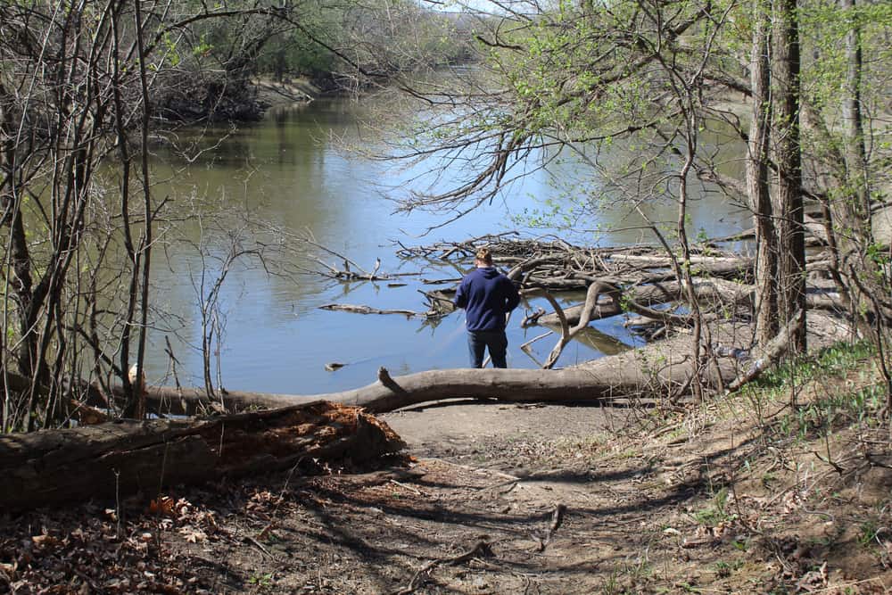 Dam No. 4 Woods East