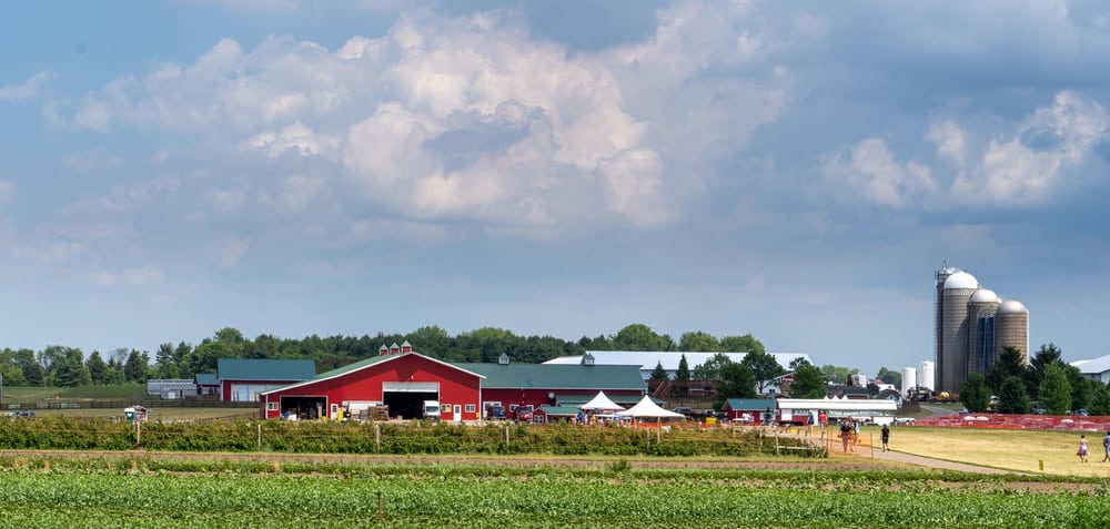 Stade’s Farm and Market