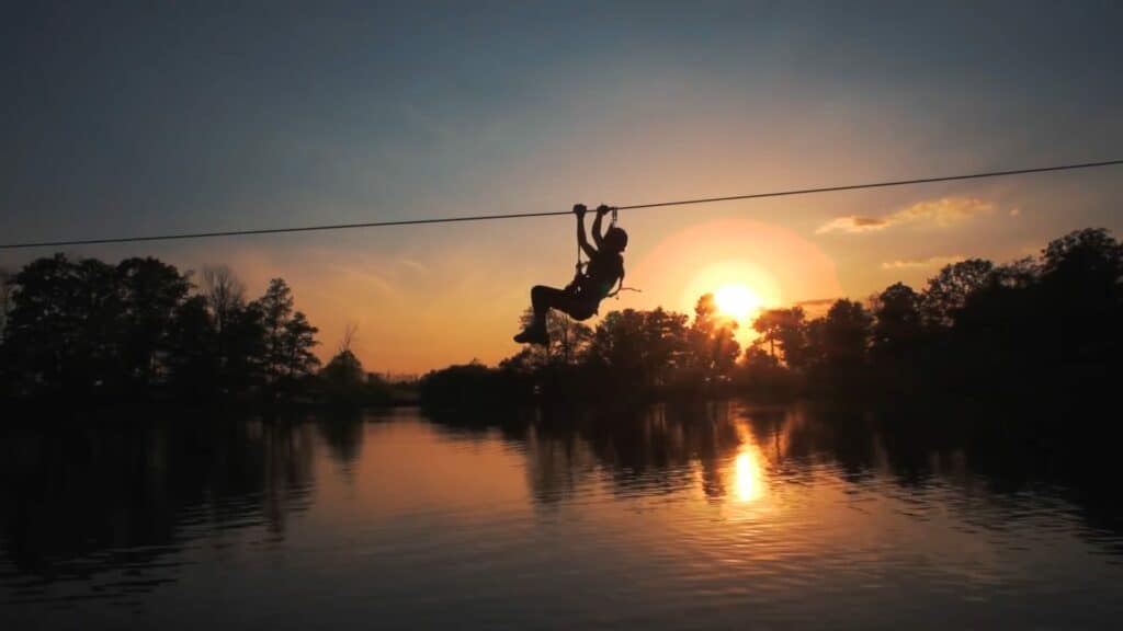 Zip Timber Lake