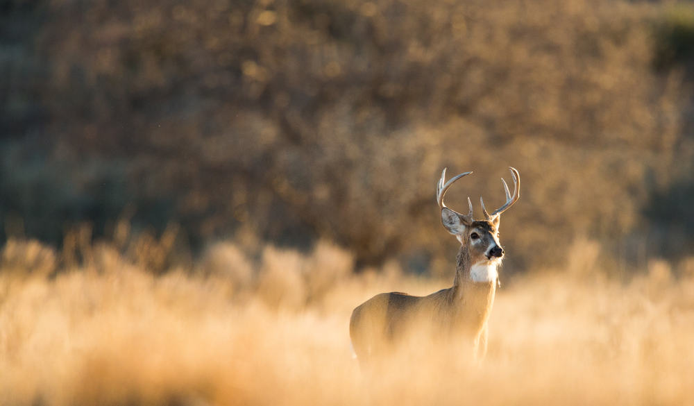Hartman Reserve Nature Center