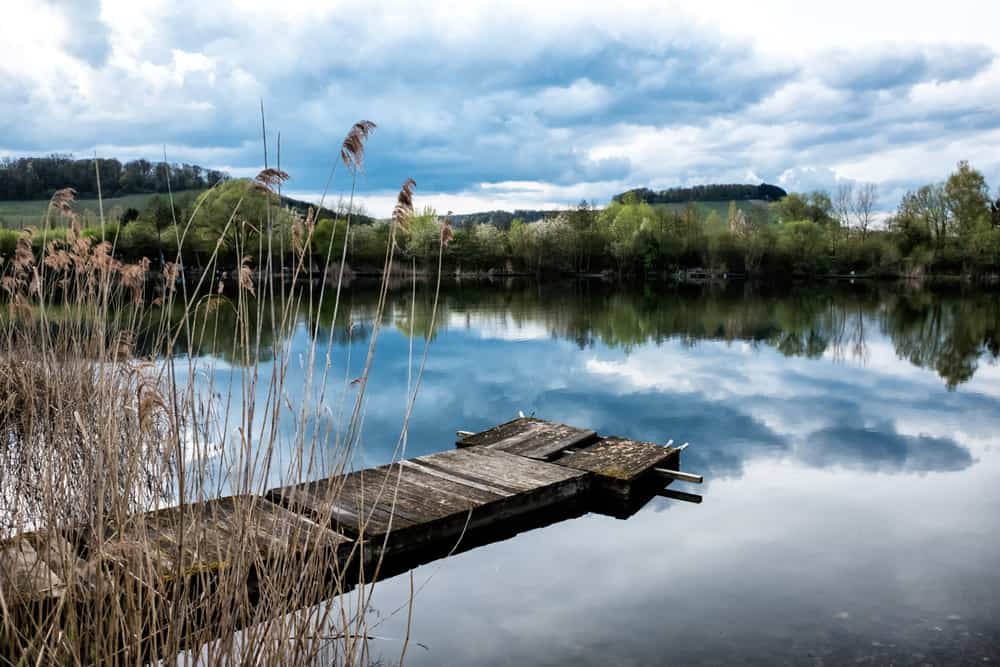 Nature Reserve Haff Reimech