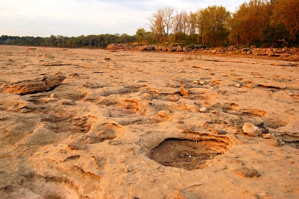 Falls of the Ohio State Park