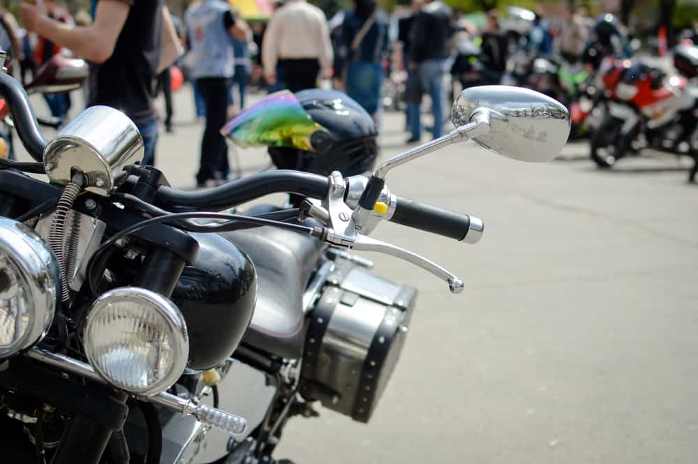 Hog Daze