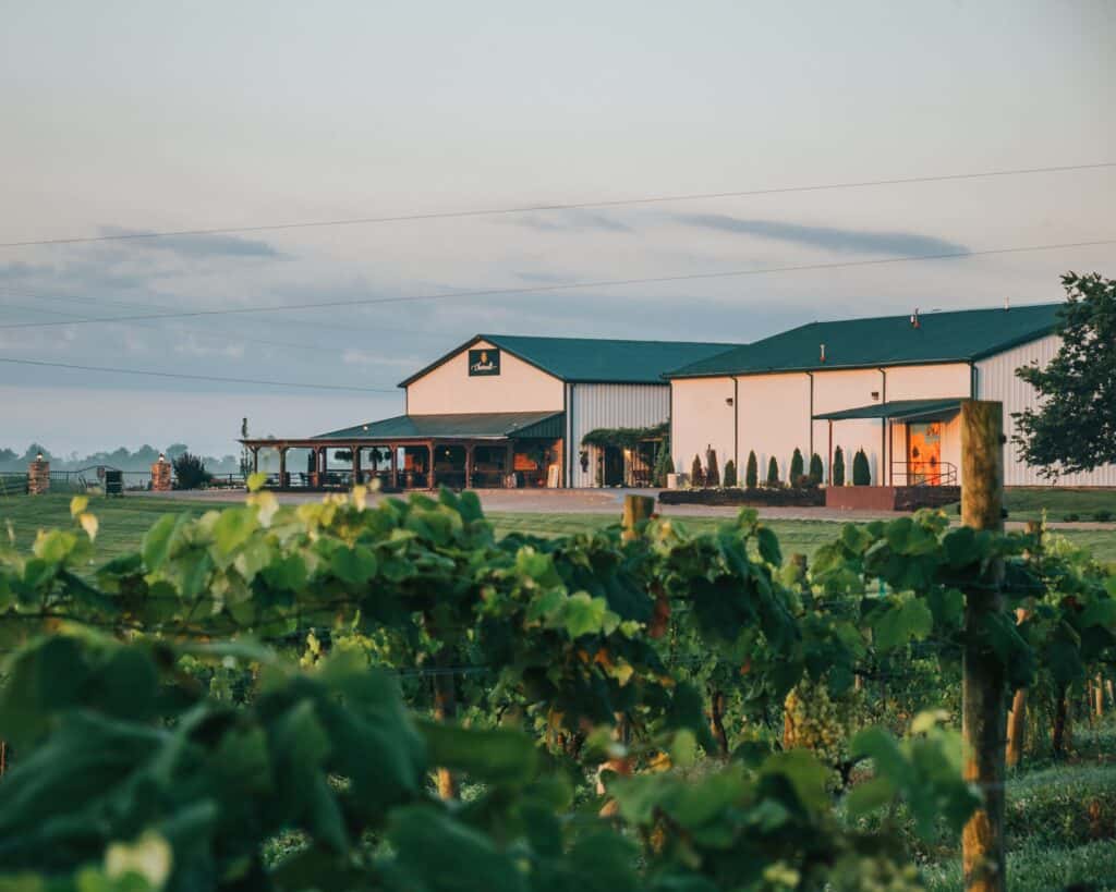 Chenault Vineyard
