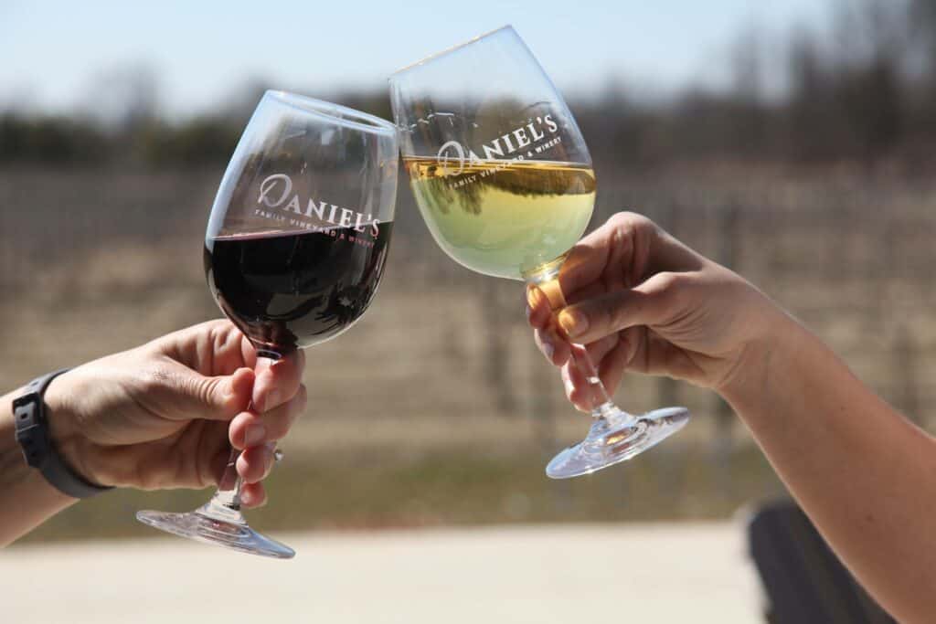 Daniel’s Vineyard