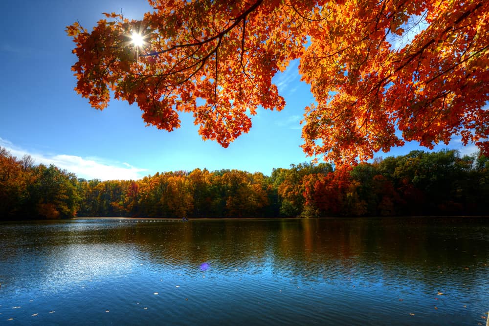 John James Audubon State Park