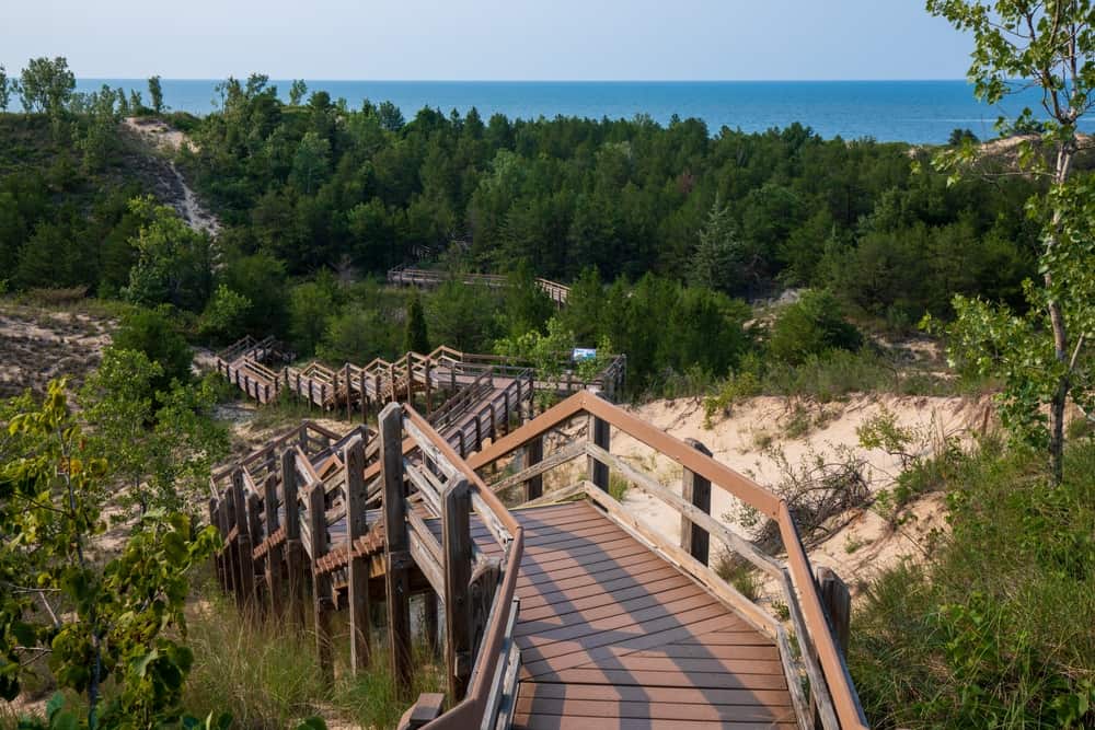 Dune Succession Trail