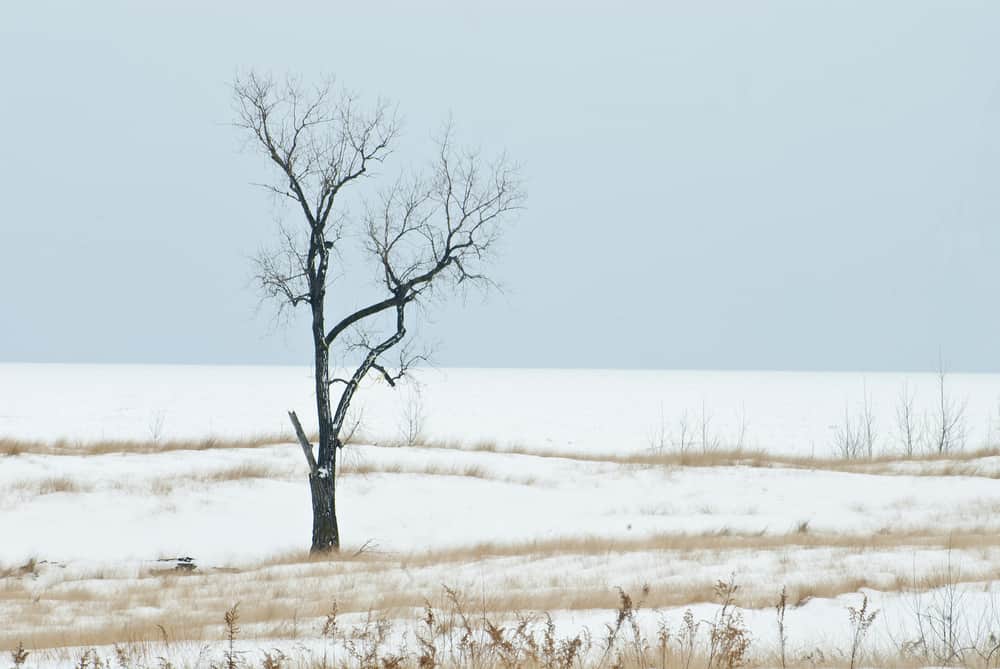 Marquette Park