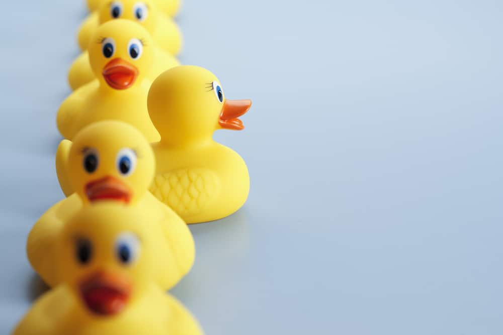Rubber Ducks