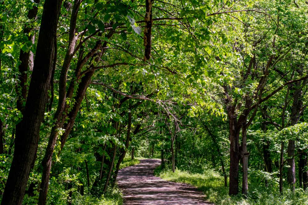 Wyandotte County Lake Park